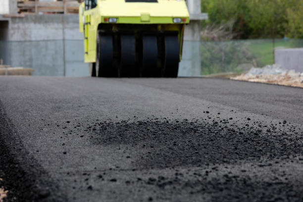 Best Driveway Pavers Near Me  in Toro Nyon, CA