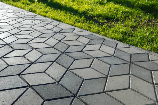 Best Driveway Paving Contractor  in Toro Nyon, CA
