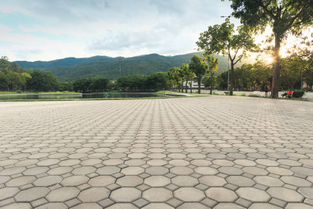 Best Permeable Paver Driveway  in Toro Nyon, CA