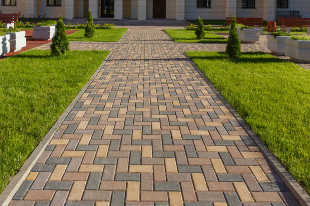 Best Best Driveway Pavers  in Toro Nyon, CA
